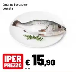 Iper La Grande Ombrina Boccadoro pescata offerta