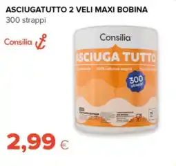 Oasi Asciugatutto 2 veli maxi bobina Consilia offerta