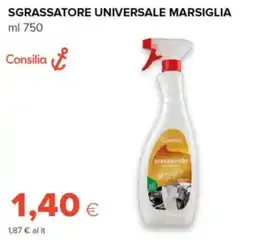 Oasi Sgrassatore universale Marsiglia Consilia offerta