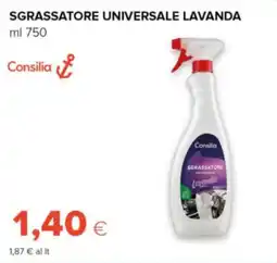 Oasi Sgrassatore universale lavanda Consilia offerta