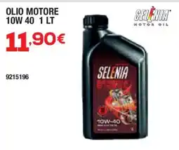 Bricofer Olio motore Selenia offerta