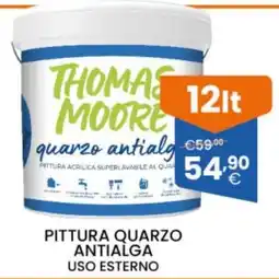 Brigros Pittura quarzo antialga Thomas Moore offerta