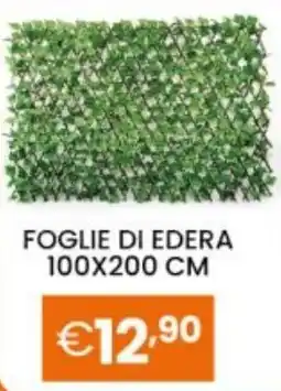 Brigros Foglie di edera offerta