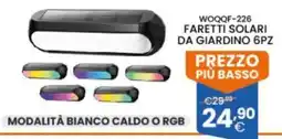 Brigros Faretti solari da giardino offerta