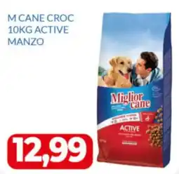 GeD Shopping Miglior cane Active offerta