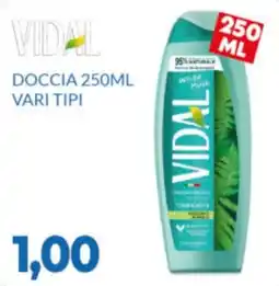 GeD Shopping Doccia Vidal offerta