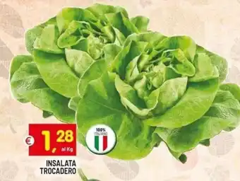 Centro Commerciale Discount Insalata Trocadero offerta