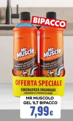 GeD Shopping Mr Muscle gel idraulico offerta