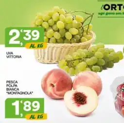Quick Sisa Uva Vittoria offerta