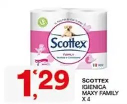 Quick Sisa Scottex igienica maxy family offerta