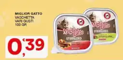Quick Sisa Miglior gatto vaschetta offerta