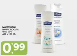 Quick Sisa Mantovani Bagnodoccia offerta