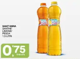 Quick Sisa Sant'Anna Santhe' Limone offerta