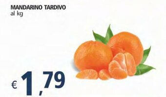 Alter Discount Mandarino Tardivo offerta