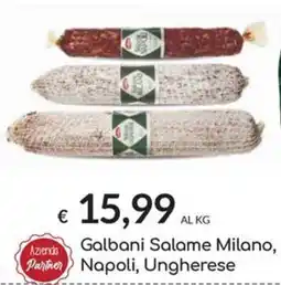 Carni e Affini Supermercati Galbani Salame Milano, Napoli, Ungherese offerta
