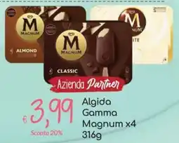 Carni e Affini Supermercati Algida Gamma Magnum offerta