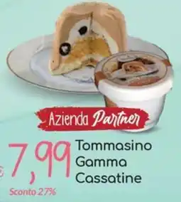 Carni e Affini Supermercati Tommasino Gamma Cassatine offerta