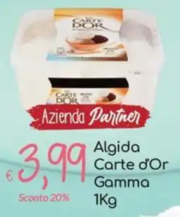 Carni e Affini Supermercati Algida Carte d'Or Gamma offerta