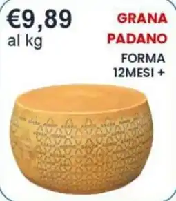 Caramico Grana Padano offerta