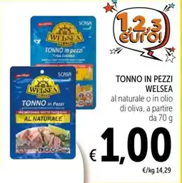 Spazio Conad Tonno in pezzi Welsa offerta