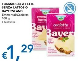 Migross Supermercati e Market Formaggio senza lattosio Bayernland offerta