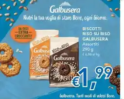 Migross Supermercati e Market Biscotti Riso su Riso Galbusera offerta