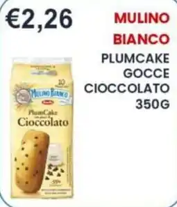 Caramico PlumCake Cioccolato offerta