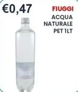 Caramico Acqua naturale Fiuggi offerta
