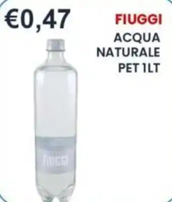 Caramico Acqua naturale Fiuggi offerta