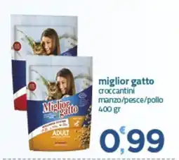 Bravo Casa Miglior gatto croccantini offerta