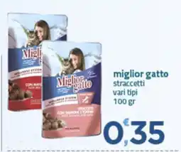 Bravo Casa Miglior gatto straccetti offerta