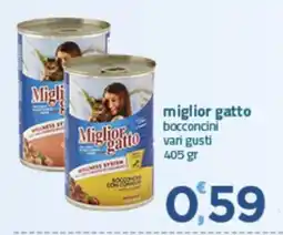Bravo Casa Miglior gatto bocconcini offerta