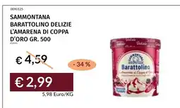 Prezzemolo e Vitale Sammontana Barattolino Delizie L'Amarena di Coppa d'Oro offerta