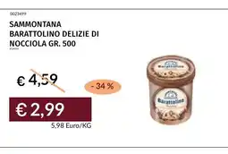 Prezzemolo e Vitale Sammontana Barattolino delizie di nocciola offerta