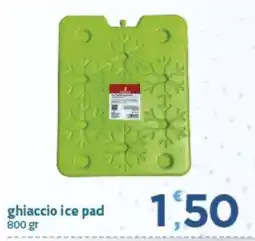 Bravo Casa ghiaccio ice pad offerta