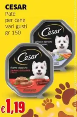 Mercati Alimentari Cesar Patè per cane offerta