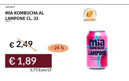 Prezzemolo e Vitale Mia kombucha lampone offerta