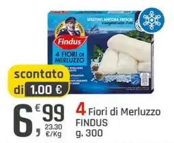 Supermercati Dok 4 Fiori di Merluzzo Findus offerta