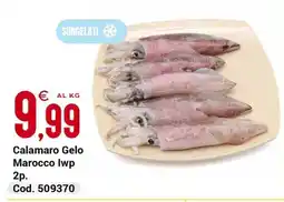Centro Cash Calamaro Gelo offerta