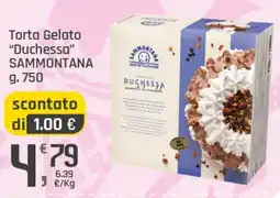 Supermercati Dok Torta Gelato Duchessa Sammontana offerta