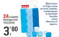 Supermercati Dok Cubetti Refrigeranti Tescoma offerta