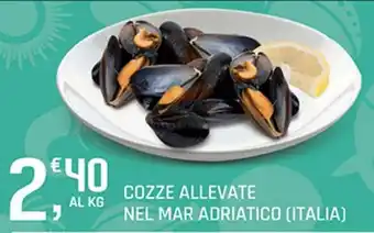 Cozze allevate nel mar adriatico