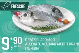 Supermercati Dok Orate G. offerta
