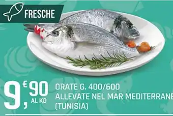Orate G.
