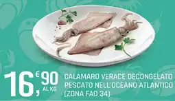 Supermercati Dok Calamaro verace decongelato offerta