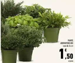 Conad Tuday Piante aromatiche mix offerta
