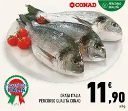 Conad Tuday Orata Italia offerta