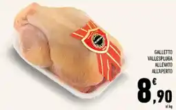 Conad Tuday Galletto Vallespluga offerta