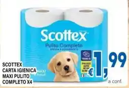 DEM Scottex carta igienica maxi pulito completo offerta