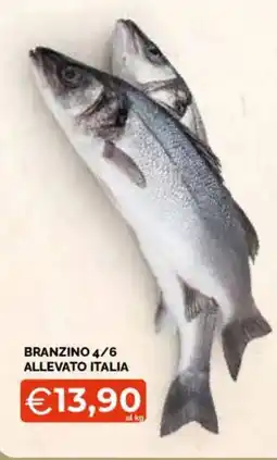 Mercatò Extra Branzino 4/6 offerta